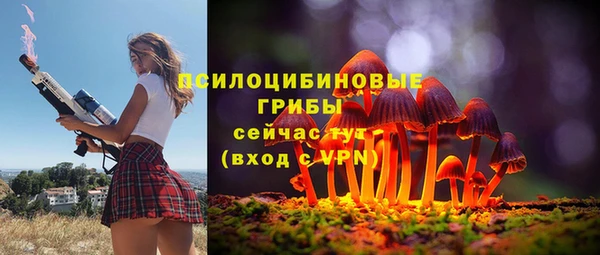 ешки Алексеевка