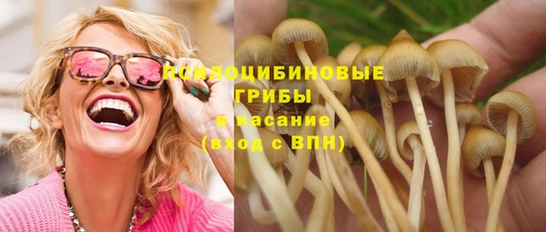 трава Алексин